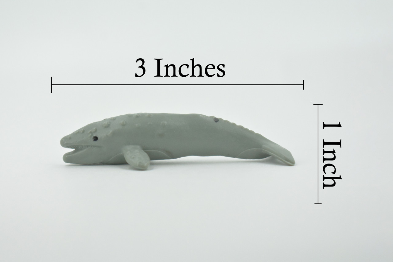 Gray Whale, High Quality, Hand Painted, Rubber Cetaceans, Realistic, Lifelike, Figure, Toy, Kids, Educational, Gift,      3"    CH579 BB163