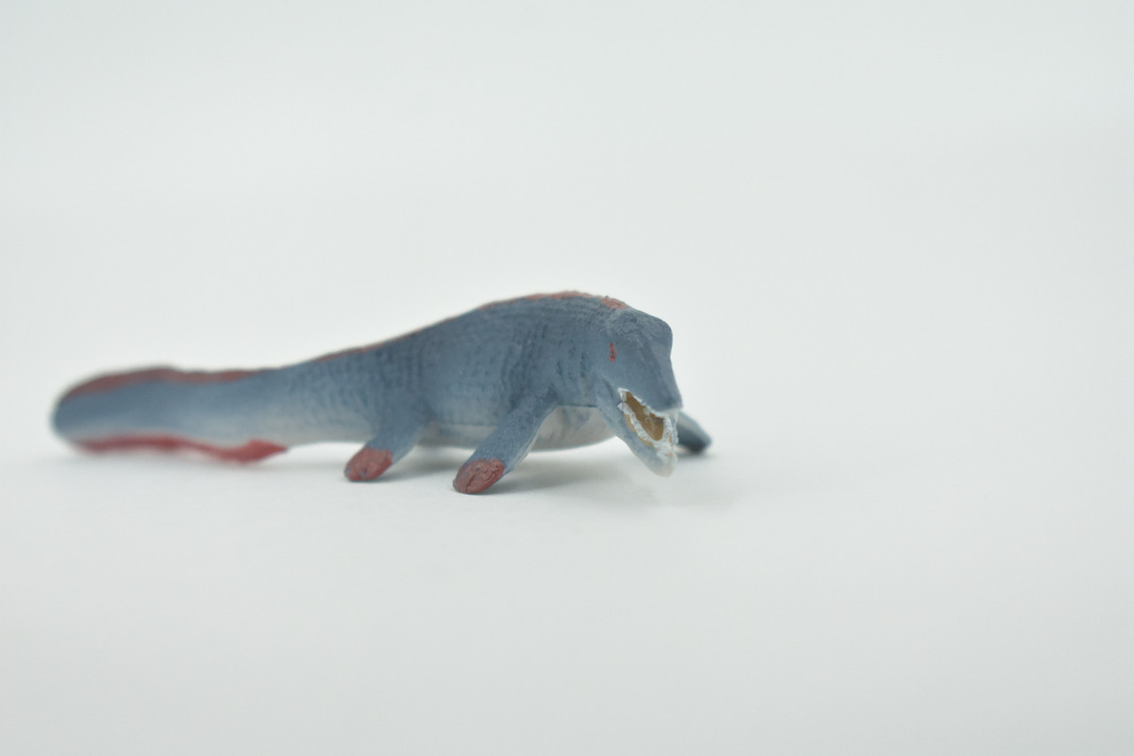 Tylosaurus, Predatory marine reptile, Museum Quality, Hand Painted, Rubber Mosasaur, Realistic Figure, Toy, Kids, Educational, Gift,   3 1/2"    CH580 BB163 