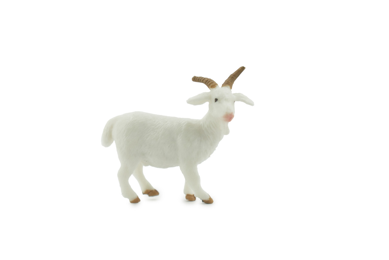 Goat, Domestic Goat, High Quality, Hand Painted, Rubber Animal, Realistic, Lifelike, Figure, Toy, Kids, Educational, Gift,        2"      CH581 BB163