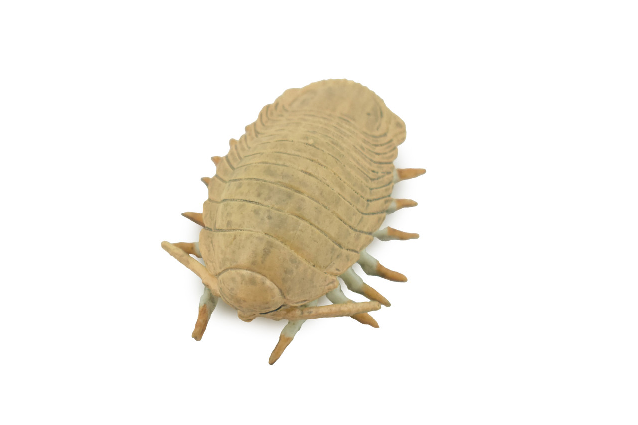 Isopod, Arthropods, Museum Quality, Hand Painted, Rubber, Crustaceans, Realistic, Figure, Toy, Kids, Educational, Gift,   2 1/2"    CH583 BB163 