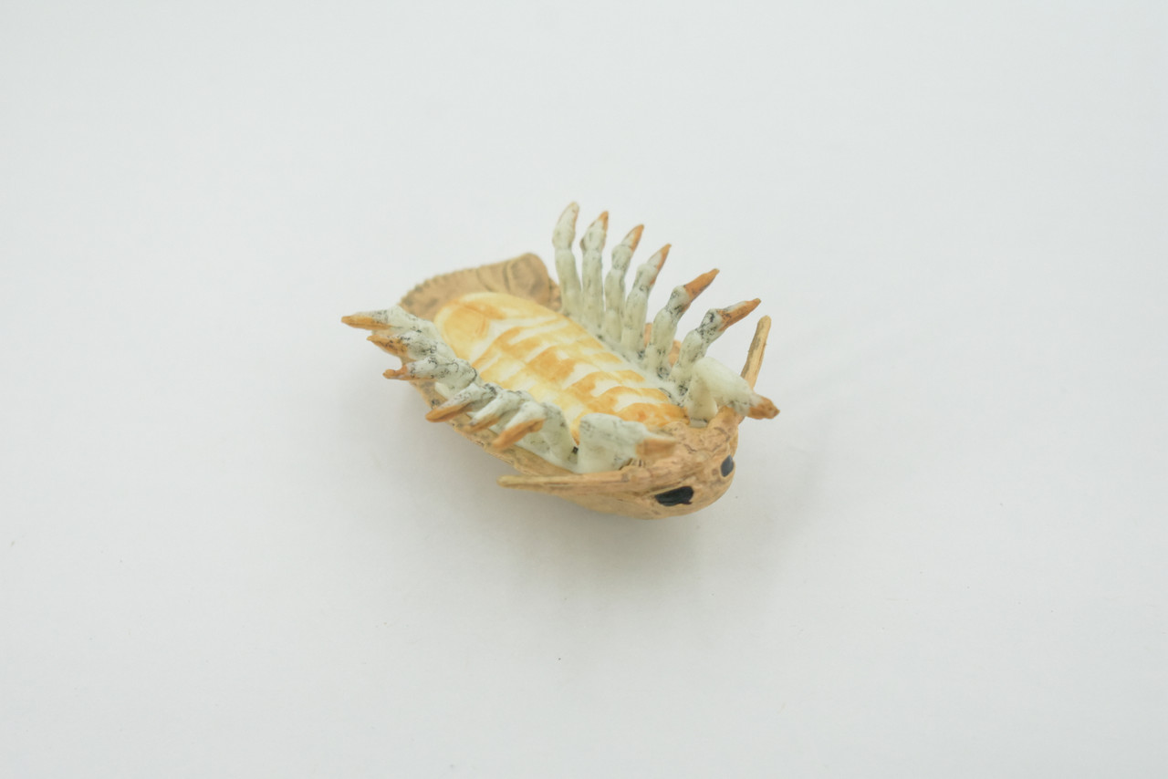 Isopod, Arthropods, Museum Quality, Hand Painted, Rubber, Crustaceans, Realistic, Figure, Toy, Kids, Educational, Gift,   2 1/2"    CH583 BB163 