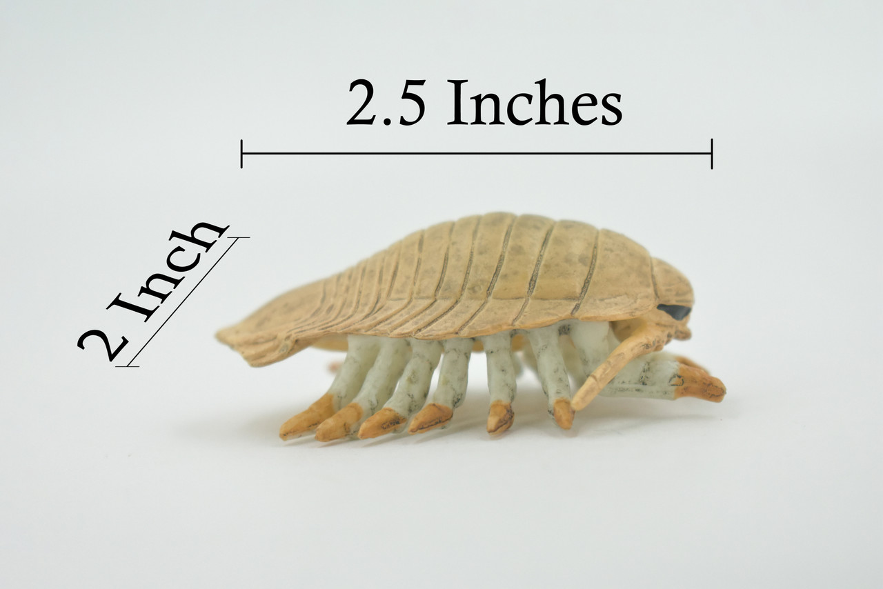 Isopod, Arthropods, Museum Quality, Hand Painted, Rubber, Crustaceans, Realistic, Figure, Toy, Kids, Educational, Gift,   2 1/2"    CH583 BB163 