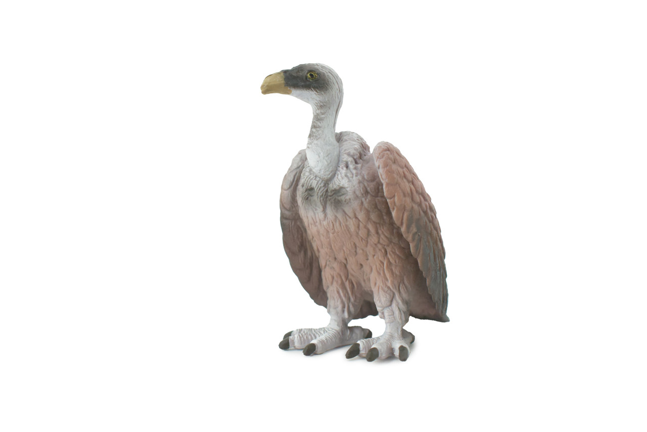 Bird, Vulture, American, Museum Quality, Hand Painted, Rubber, Realistic, Figure, Toy, Kids, Educational, Gift,      3 1/2"    CH587 BB164  