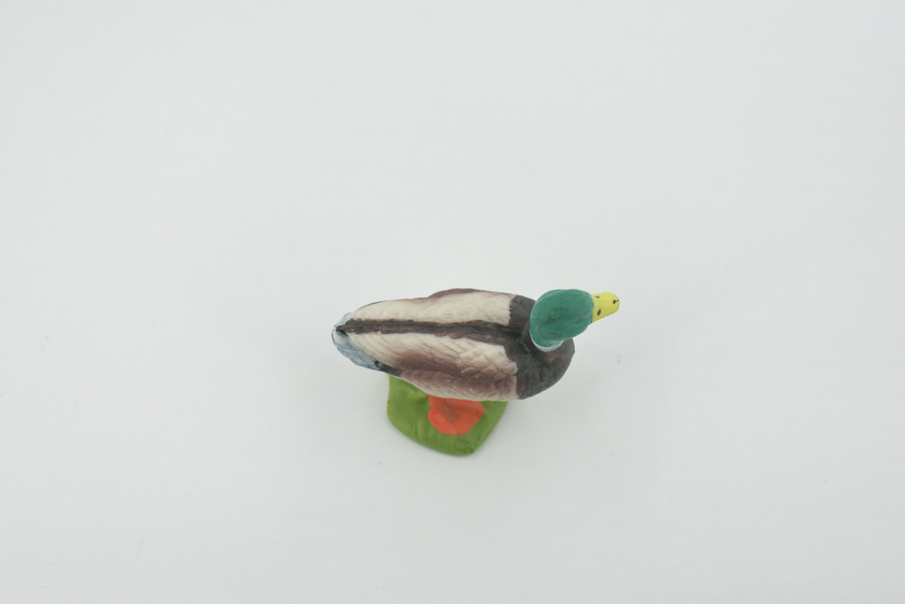 Bird, Duck, Mallard, Drake, Male, Museum Quality, Hand Painted, Rubber, Realistic, Figure, Toy, Kids, Educational, Gift,      2"    CH588 BB164   