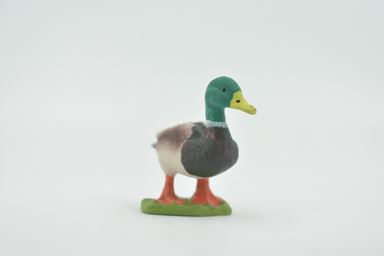 Bird, Duck, Mallard, Drake, Male, Museum Quality, Hand Painted, Rubber, Realistic, Figure, Toy, Kids, Educational, Gift,      2"    CH588 BB164   