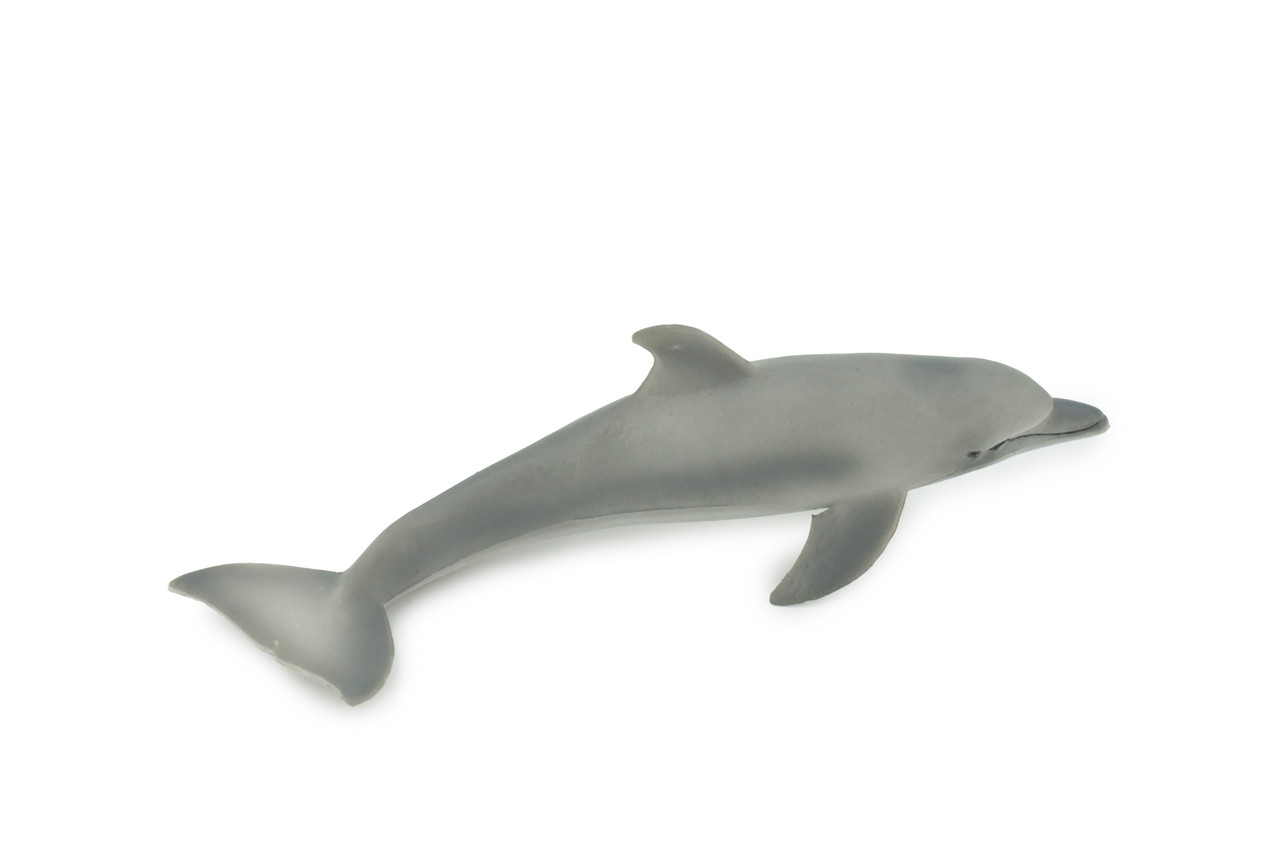 Dolphin, Porpoise, Bottlenose, Marine Mammal, Museum Quality, Hand Painted, Rubber, Realistic , Figure, Toy, Kids, Educational, Gift,      5 1/2"    CH589 BB164   