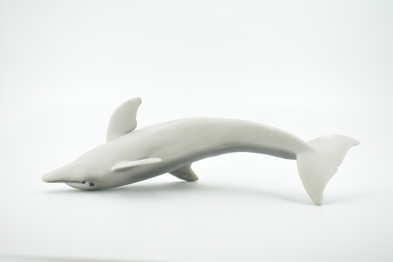 Dolphin, Porpoise, Bottlenose, Marine Mammal, Museum Quality, Hand Painted, Rubber, Realistic , Figure, Toy, Kids, Educational, Gift,      5 1/2"    CH589 BB164   