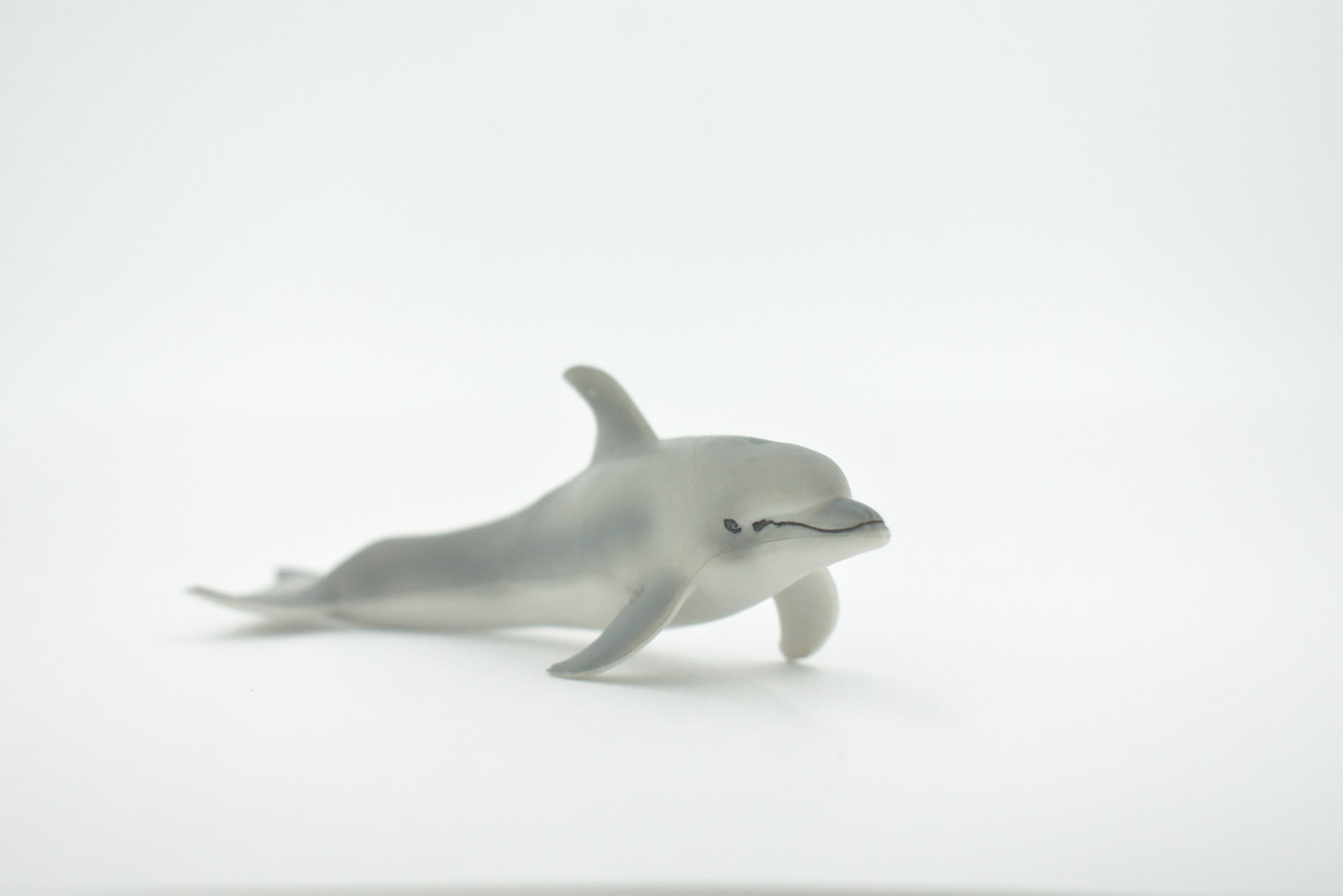 Dolphin, Porpoise, Bottlenose, Marine Mammal, Museum Quality, Hand Painted, Rubber, Realistic , Figure, Toy, Kids, Educational, Gift,      5 1/2"    CH589 BB164   