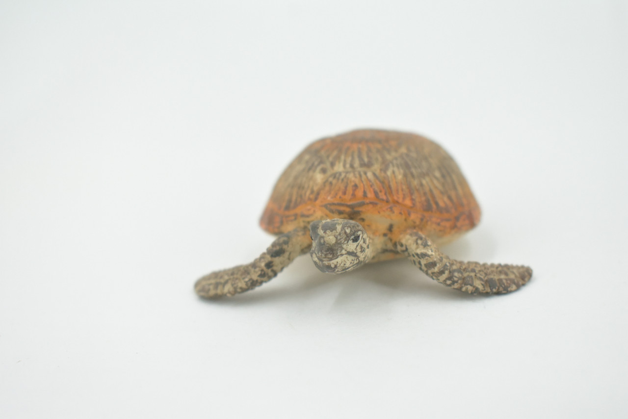 Turtle, Green Sea Turtle, Museum Quality, Hand Painted, Rubber Reptile, Realistic Toy Figure, Model, Replica, Kids, Educational, Gift,     3"    CH593 BB164