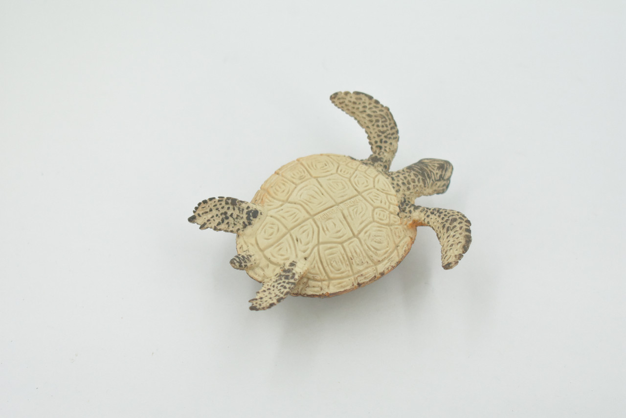 Turtle, Green Sea Turtle, Museum Quality, Hand Painted, Rubber Reptile, Realistic Toy Figure, Model, Replica, Kids, Educational, Gift,     3"    CH593 BB164