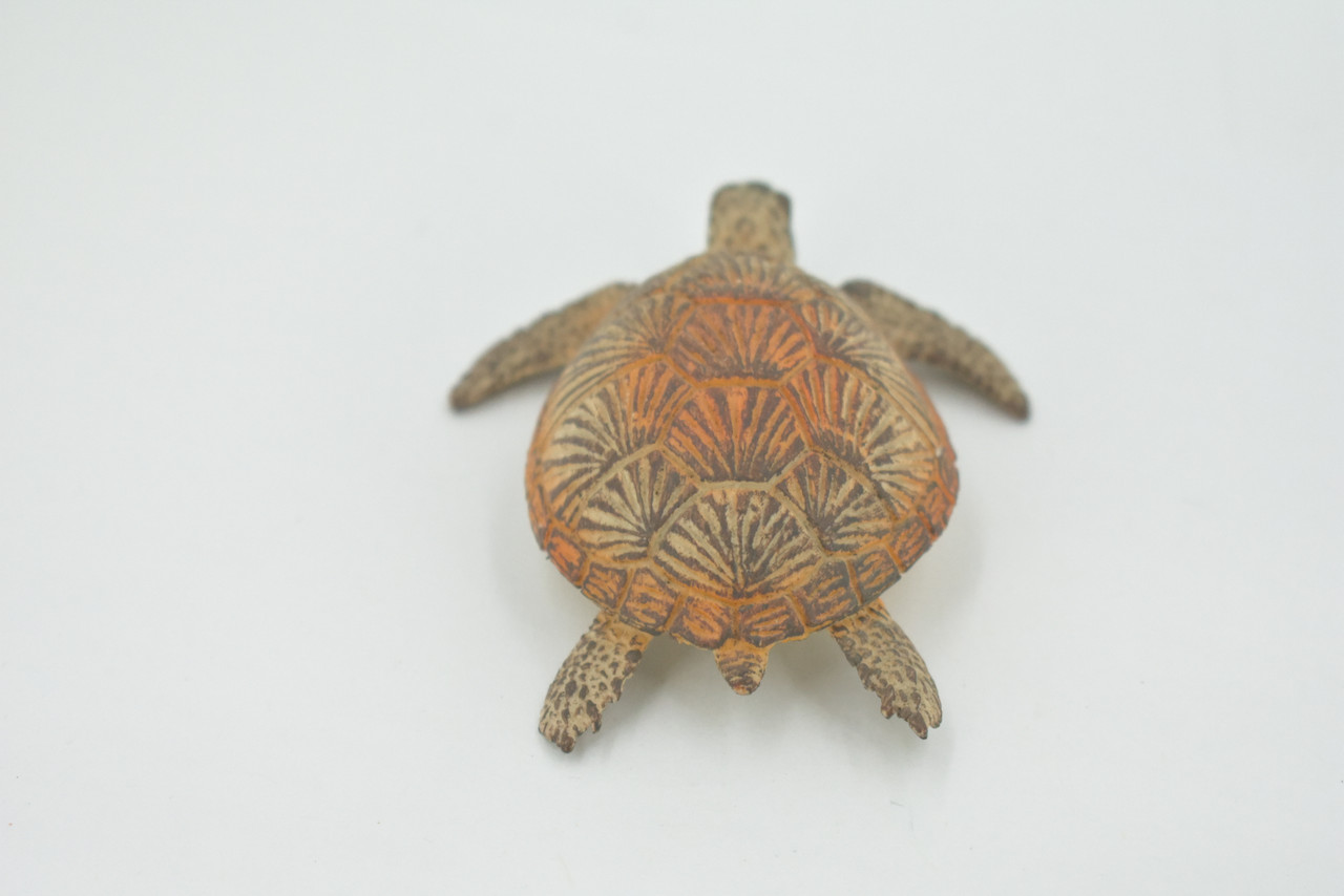 Turtle, Green Sea Turtle, Museum Quality, Hand Painted, Rubber Reptile, Realistic Toy Figure, Model, Replica, Kids, Educational, Gift,     3"    CH593 BB164