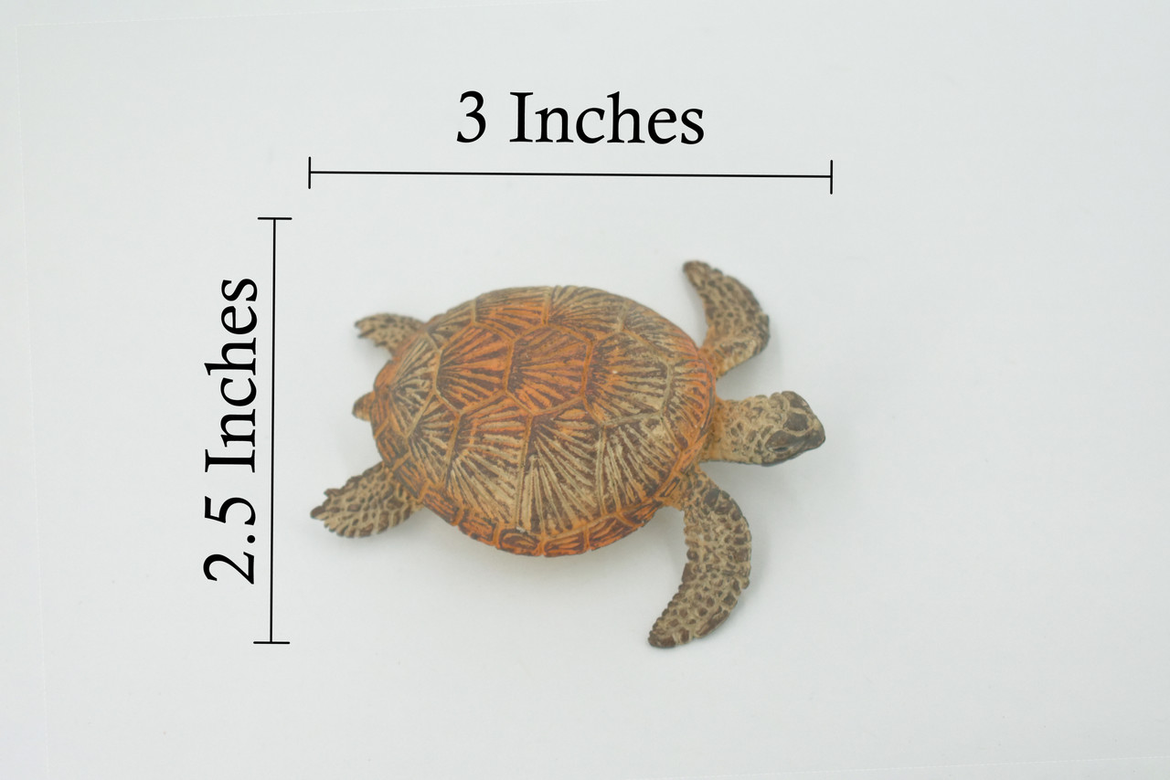 Turtle, Green Sea Turtle, Museum Quality, Hand Painted, Rubber Reptile, Realistic Toy Figure, Model, Replica, Kids, Educational, Gift,     3"    CH593 BB164
