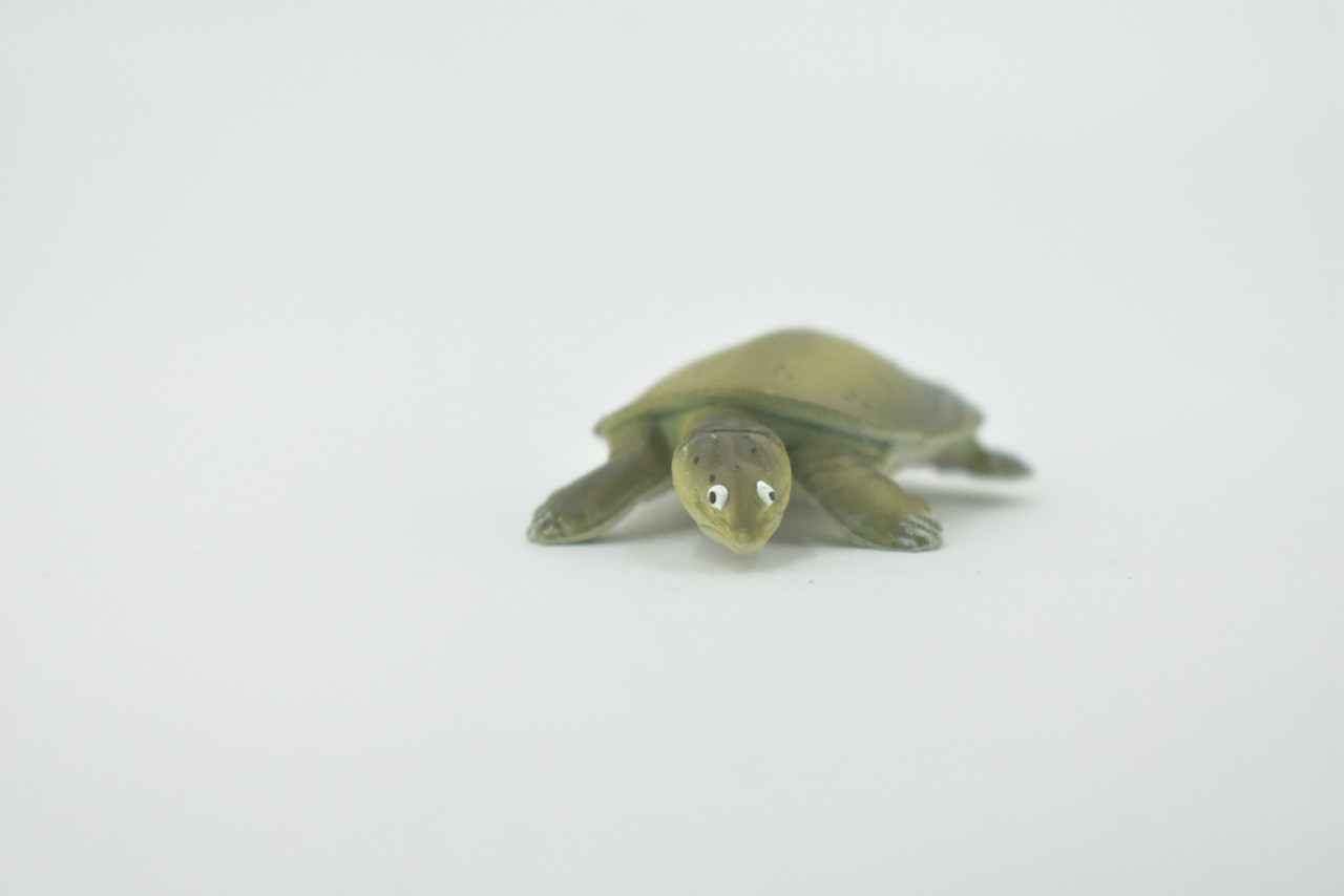 Turtle, Softshell Turtle, Chinese, Museum Quality, Hand Painted, Rubber Reptile, Realistic Toy Figure, Model, Replica, Kids, Educational, Gift,     2"    CH594 BB164