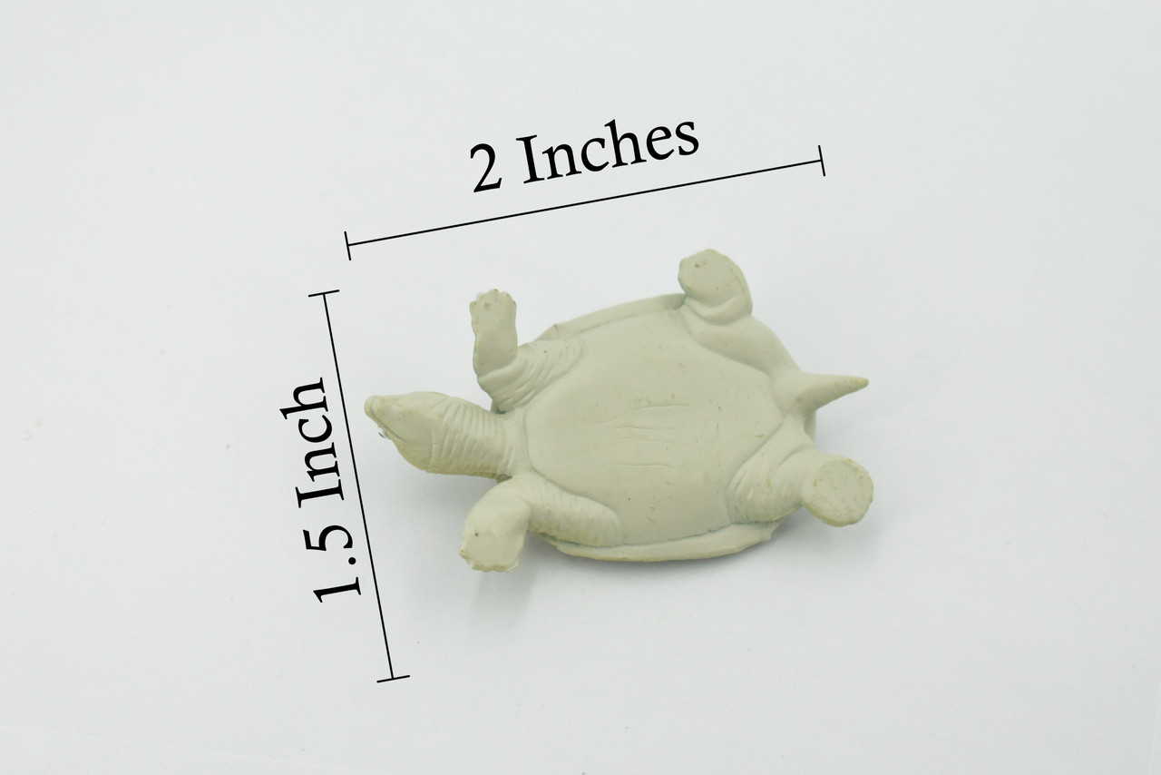 Turtle, Softshell Turtle, Chinese, Museum Quality, Hand Painted, Rubber Reptile, Realistic Toy Figure, Model, Replica, Kids, Educational, Gift,     2"    CH594 BB164