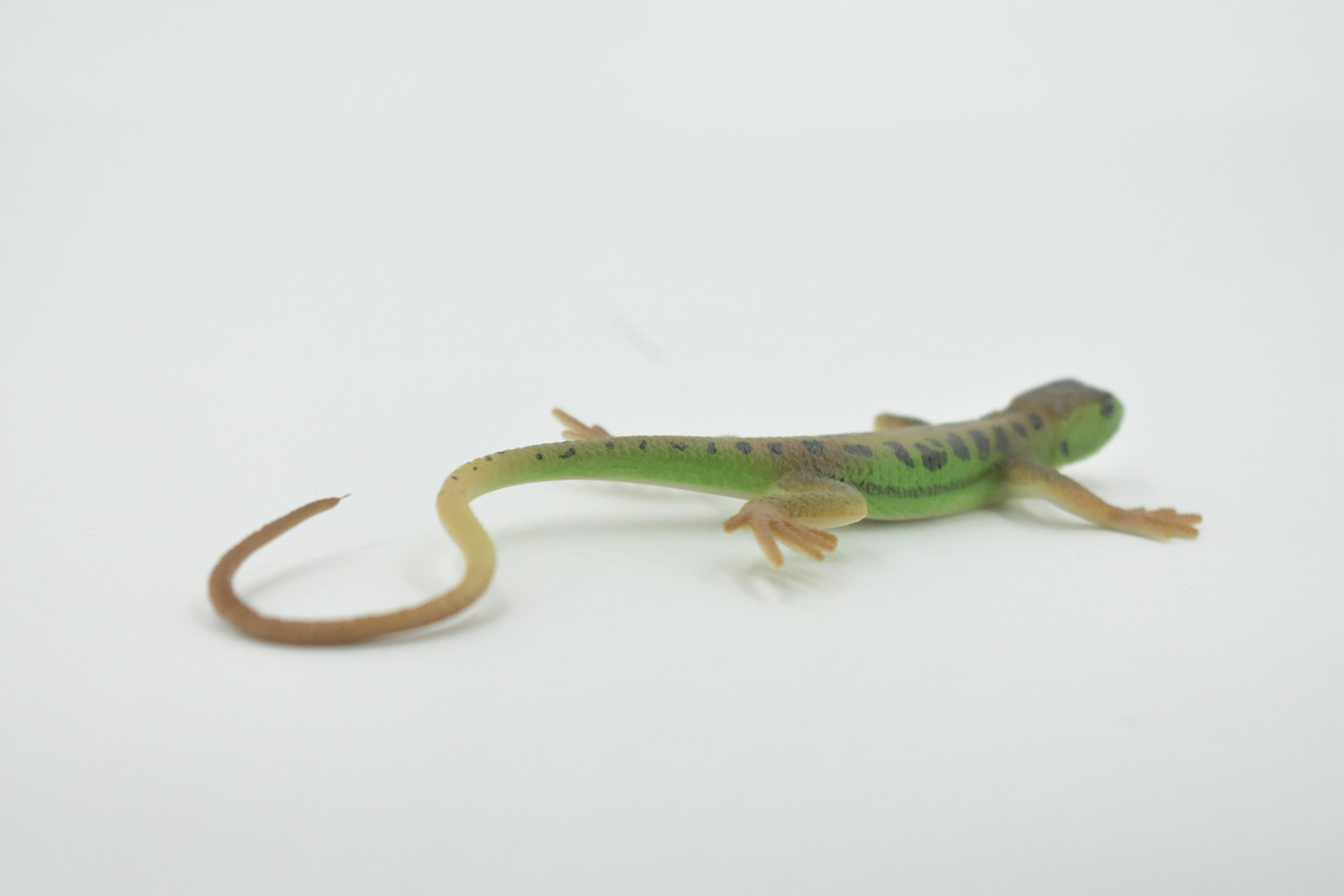 Lizard, Green Rock Lizard, Arribas, Museum Quality, Hand Painted, Rubber Reptile, Realistic Toy Figure, Model, Replica, Kids, Educational, Gift,     5"    CH595 BB164