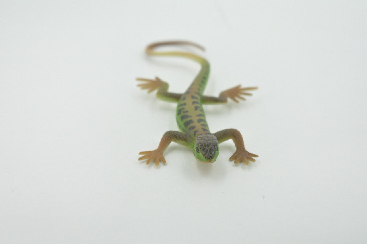 Lizard, Green Rock Lizard, Arribas, Museum Quality, Hand Painted, Rubber Reptile, Realistic Toy Figure, Model, Replica, Kids, Educational, Gift,     5"    CH595 BB164