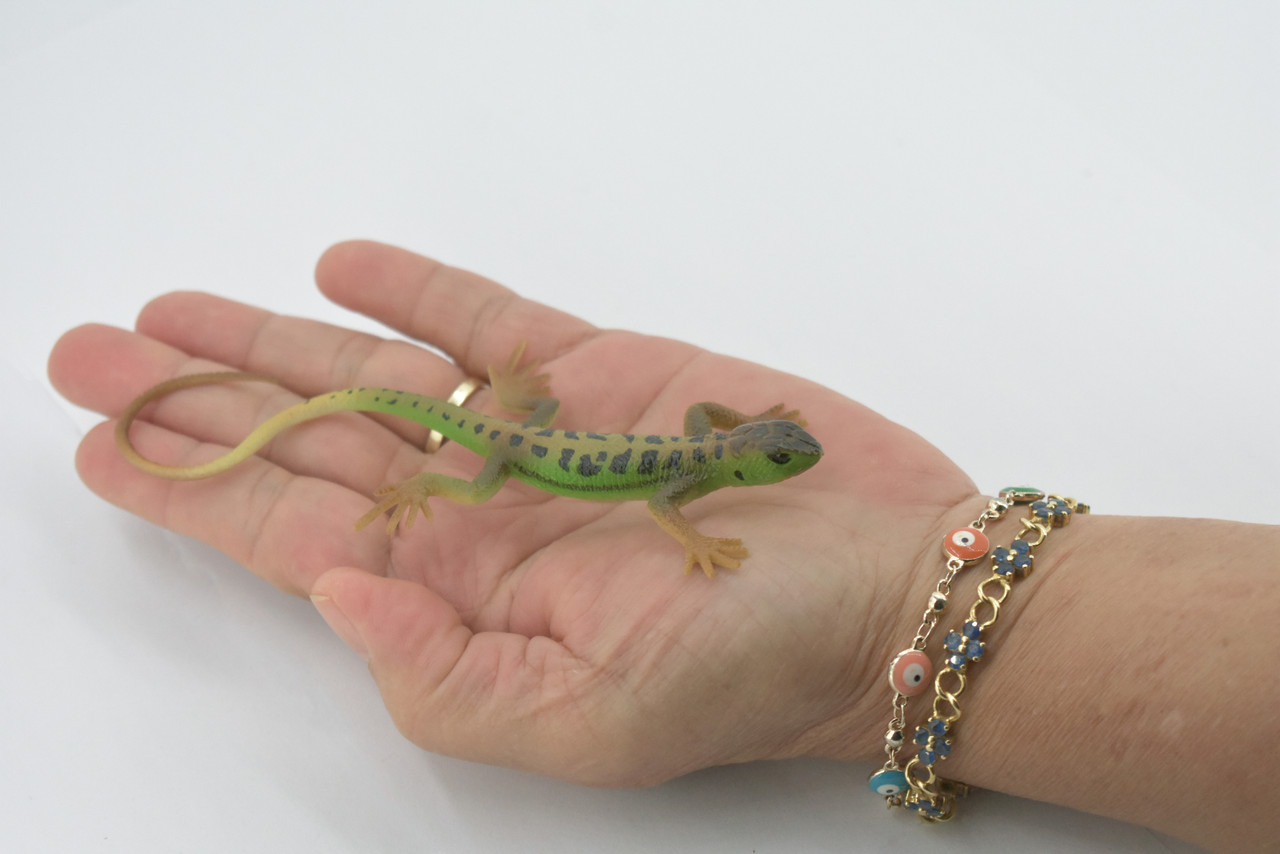 Lizard, Green Rock Lizard, Arribas, Museum Quality, Hand Painted, Rubber Reptile, Realistic Toy Figure, Model, Replica, Kids, Educational, Gift,     5"    CH595 BB164