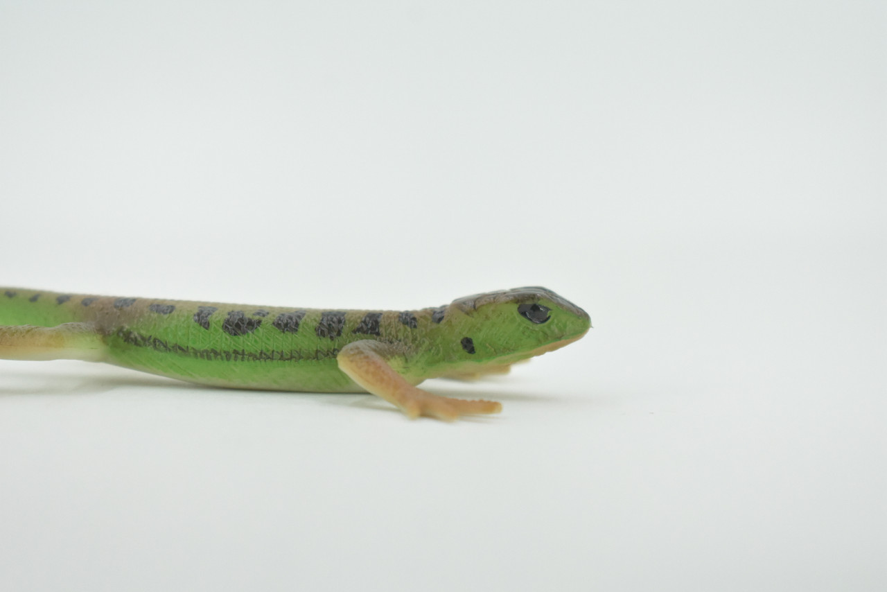 Lizard, Green Rock Lizard, Arribas, Museum Quality, Hand Painted, Rubber Reptile, Realistic Toy Figure, Model, Replica, Kids, Educational, Gift,     5"    CH595 BB164