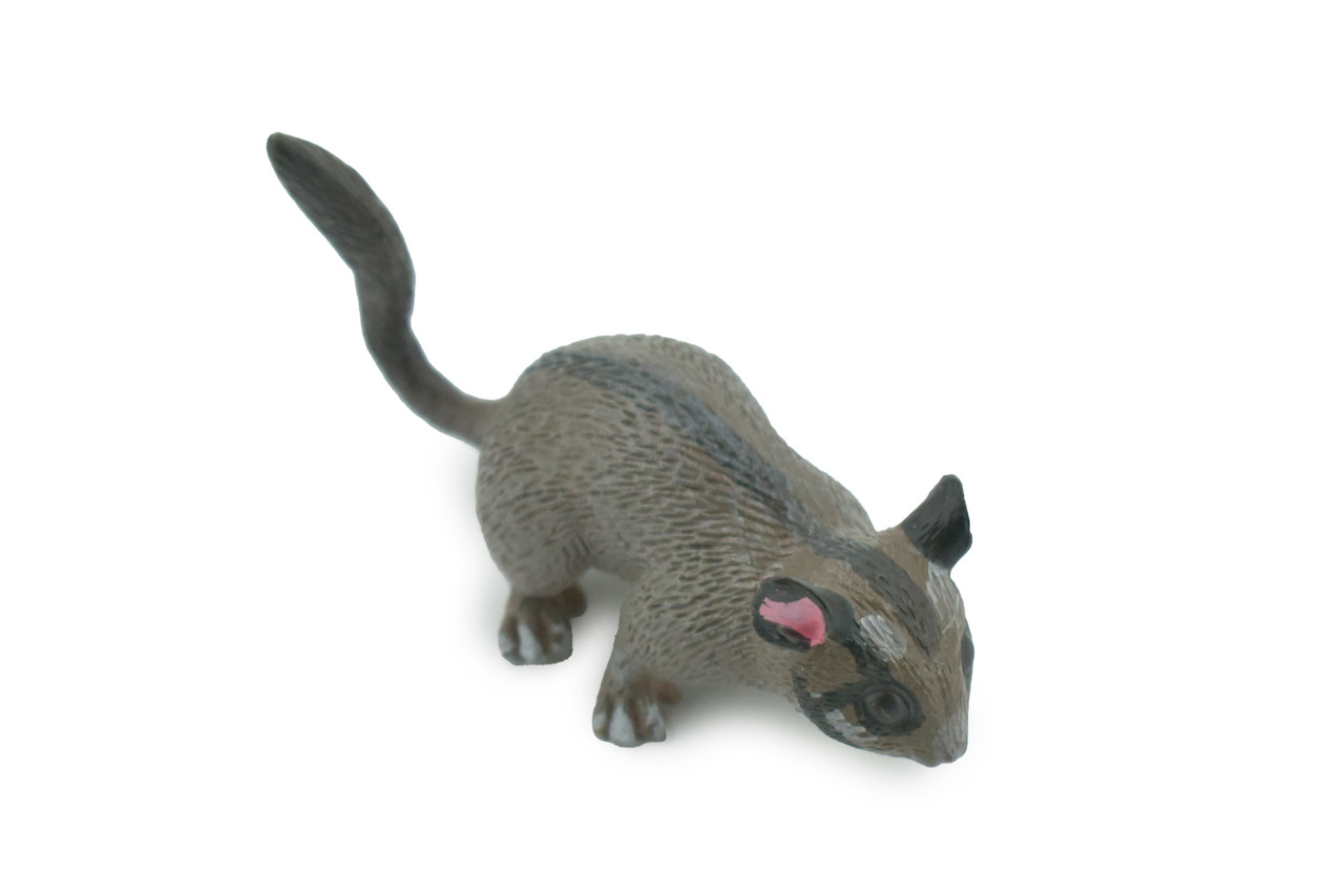 Possum, Museum Quality, Hand Painted, Rubber marsupial, Realistic Toy Figure, Model, Replica, Kids, Educational, Gift,     3"    CH597 BB164