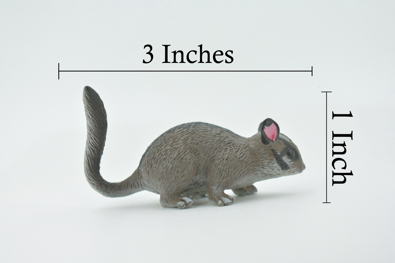 Possum, Museum Quality, Hand Painted, Rubber marsupial, Realistic Toy Figure, Model, Replica, Kids, Educational, Gift,     3"    CH597 BB164