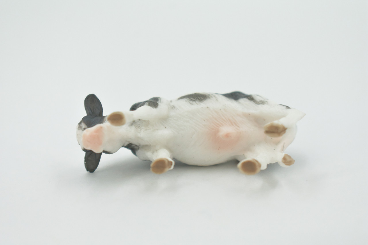 Cow, Holstein, Bull, Young, Friesian, High Quality, Hand Painted, Rubber Animal, Realistic, Toy, Figure, Model, Replica, Kids, Educational, Gift,    2 1/2"    CH599 BB164  