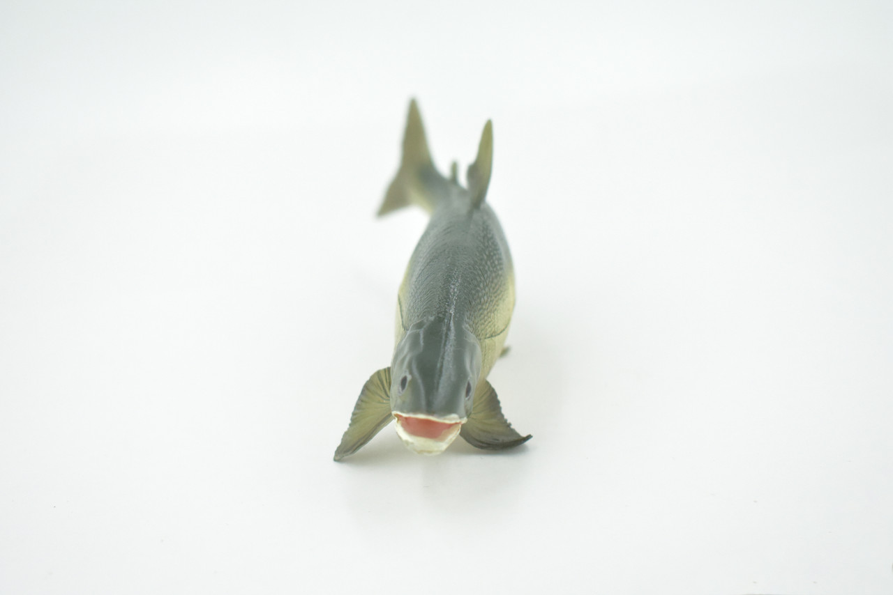 Fish, Sweetfish, Japan, Museum Quality, Hand Painted, Rubber Animal, Realistic, Toy, Figure, Model, Replica, Kids, Educational, Gift,    6 1/2"    CH601 BB165