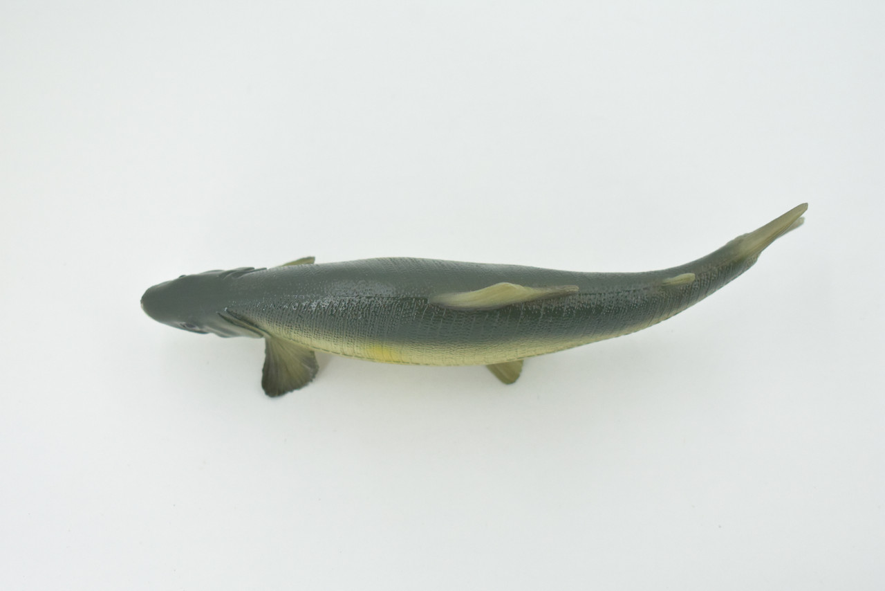 Fish, Sweetfish, Japan, Museum Quality, Hand Painted, Rubber Animal, Realistic, Toy, Figure, Model, Replica, Kids, Educational, Gift,    6 1/2"    CH601 BB165