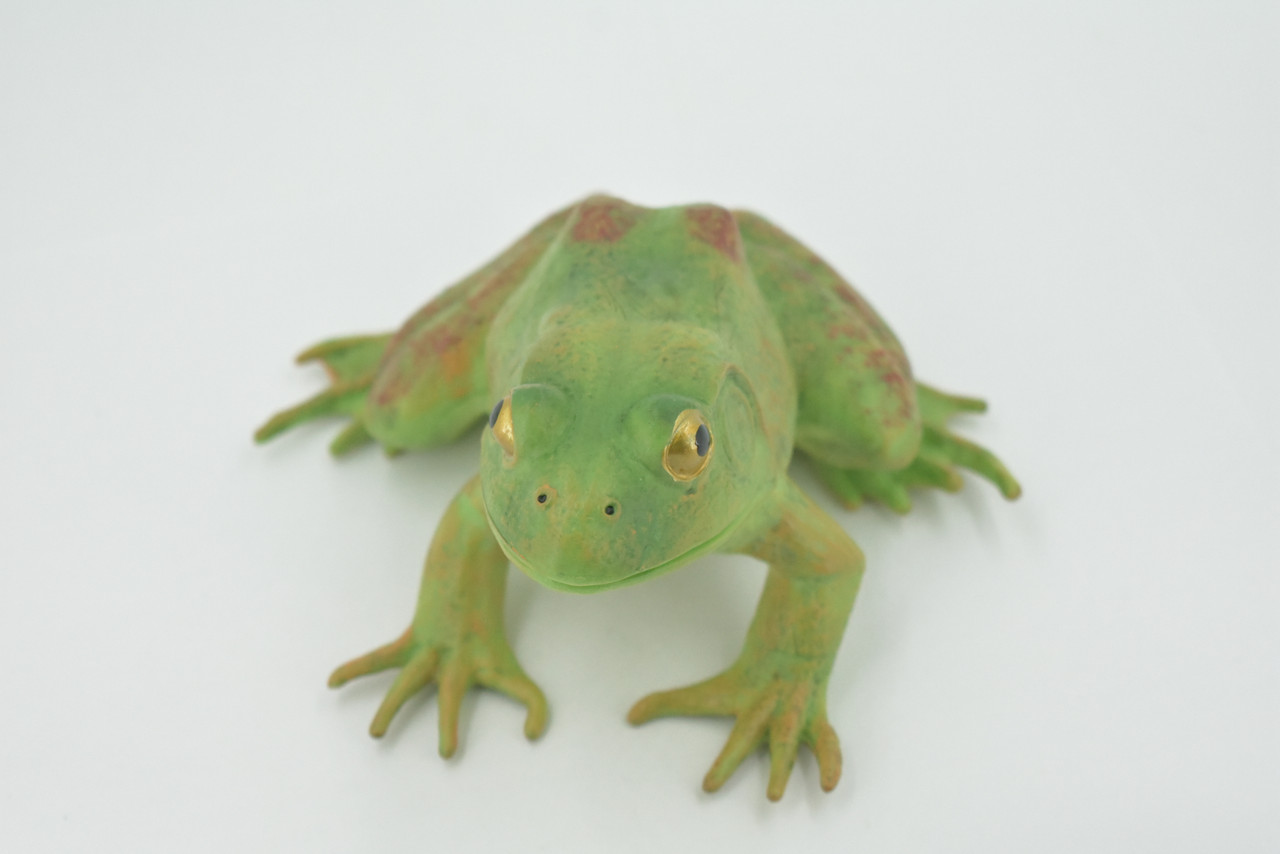 Frog, Bullfrog, Green, Museum Quality, Hand Painted, Rubber, Asia, Animal, Realistic, Figure, Model, Replica, Toy, Kids, Educational, Gift,      5"       CH605 BB165
