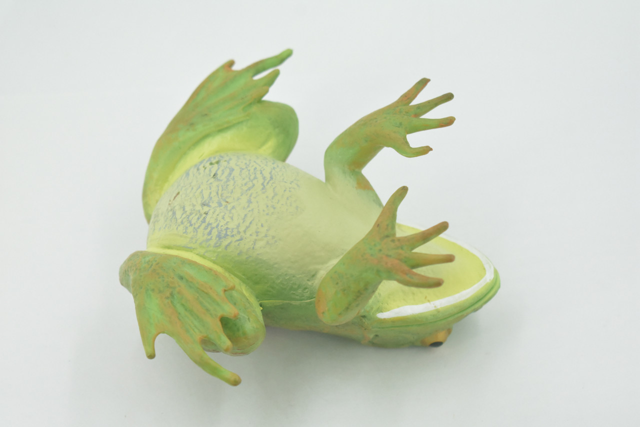 Frog, Bullfrog, Green, Museum Quality, Hand Painted, Rubber, Asia, Animal, Realistic, Figure, Model, Replica, Toy, Kids, Educational, Gift,      5"       CH605 BB165