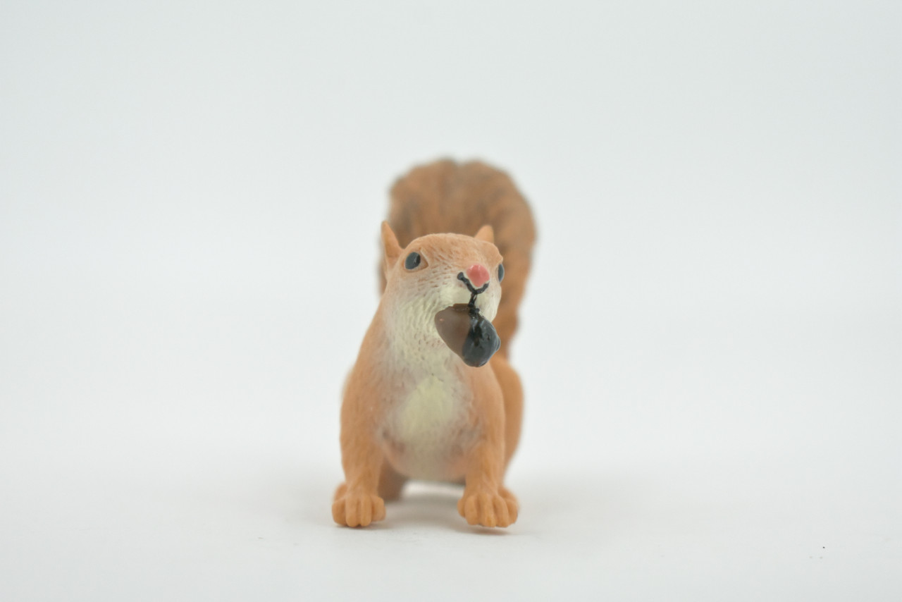 Squirrel, with nut, Museum Quality, Hand Painted, Rubber Rodent, Realistic Toy Figure, Model, Replica, Kids, Educational, Gift,     3"     CH607 BB166