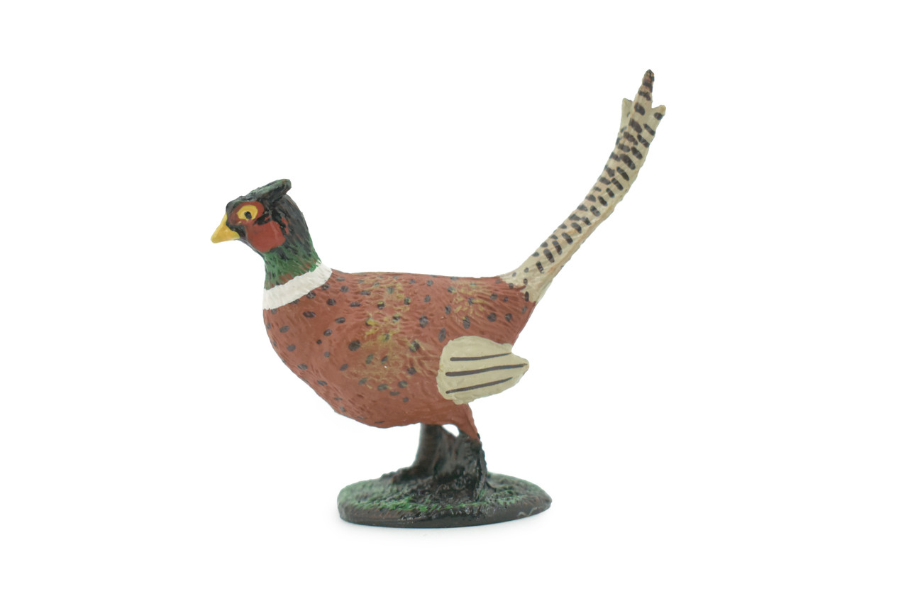 Bird, Pheasant, Male, Cock, Museum Quality, Hand Painted, Rubber Rodent, Realistic Toy Figure, Model, Replica, Kids, Educational, Gift,     2 1/2"     CH609 BB166