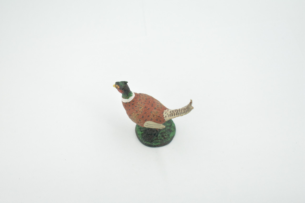 Bird, Pheasant, Male, Cock, Museum Quality, Hand Painted, Rubber Rodent, Realistic Toy Figure, Model, Replica, Kids, Educational, Gift,     2 1/2"     CH609 BB166