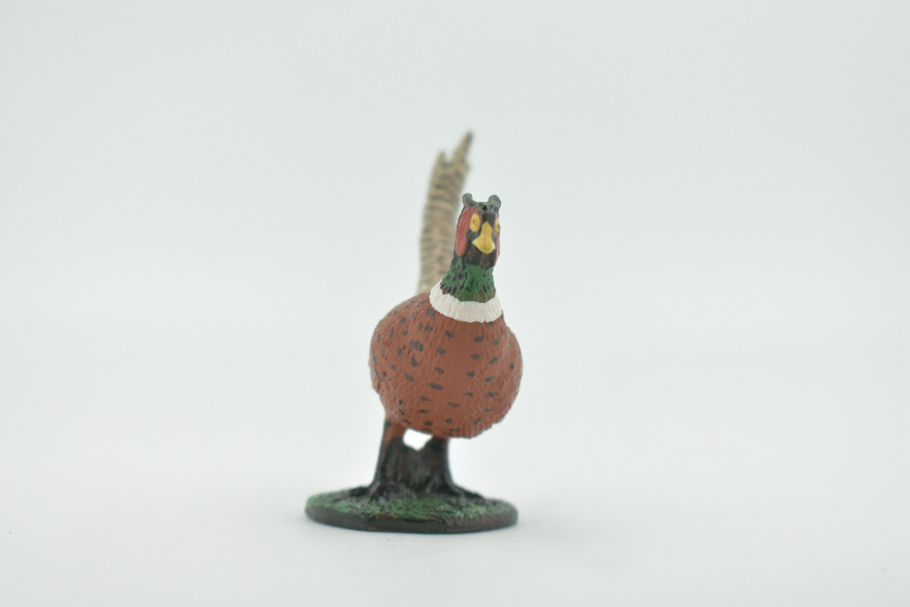 Bird, Pheasant, Male, Cock, Museum Quality, Hand Painted, Rubber Rodent, Realistic Toy Figure, Model, Replica, Kids, Educational, Gift,     2 1/2"     CH609 BB166