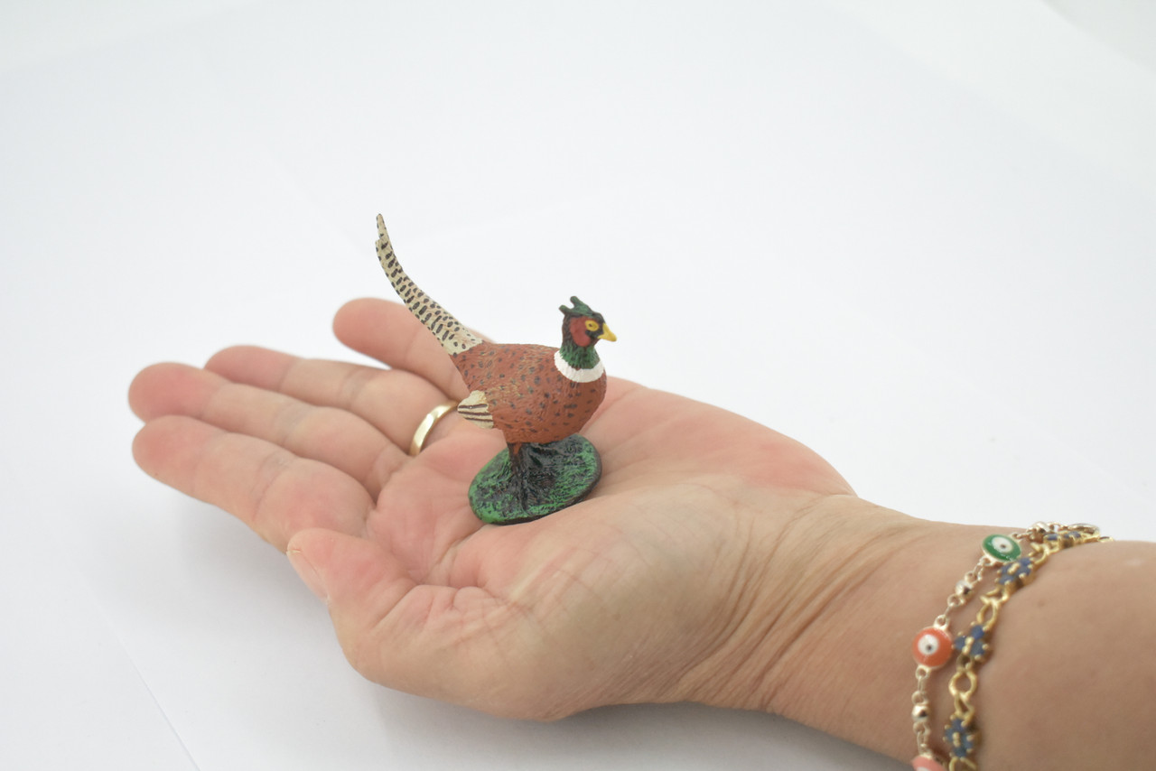 Bird, Pheasant, Male, Cock, Museum Quality, Hand Painted, Rubber Rodent, Realistic Toy Figure, Model, Replica, Kids, Educational, Gift,     2 1/2"     CH609 BB166