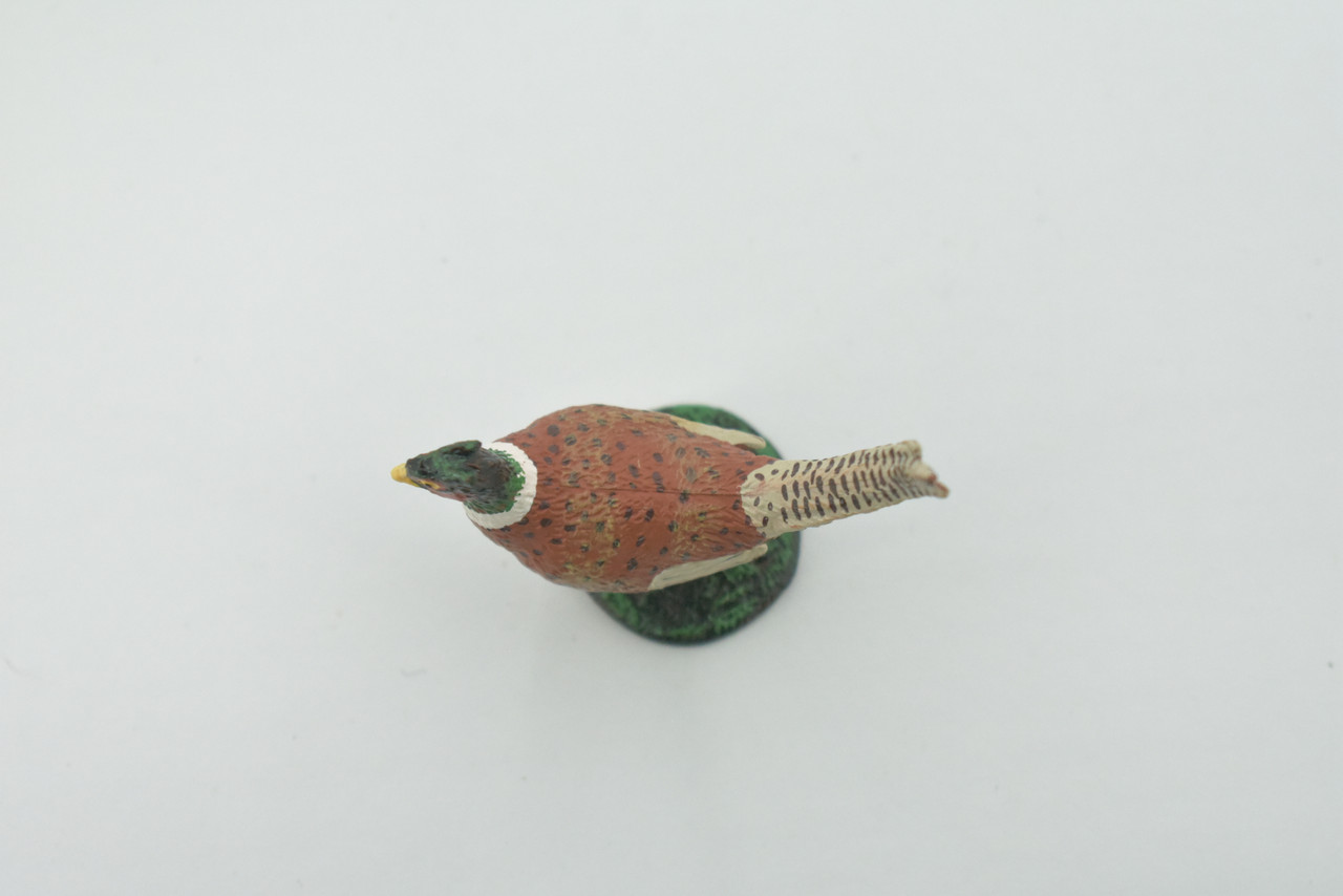 Bird, Pheasant, Male, Cock, Museum Quality, Hand Painted, Rubber Rodent, Realistic Toy Figure, Model, Replica, Kids, Educational, Gift,     2 1/2"     CH609 BB166