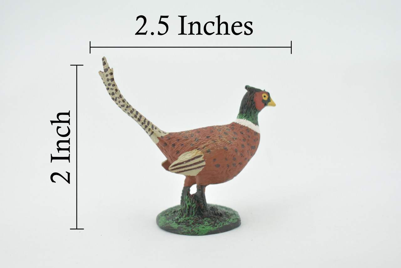 Bird, Pheasant, Male, Cock, Museum Quality, Hand Painted, Rubber Rodent, Realistic Toy Figure, Model, Replica, Kids, Educational, Gift,     2 1/2"     CH609 BB166