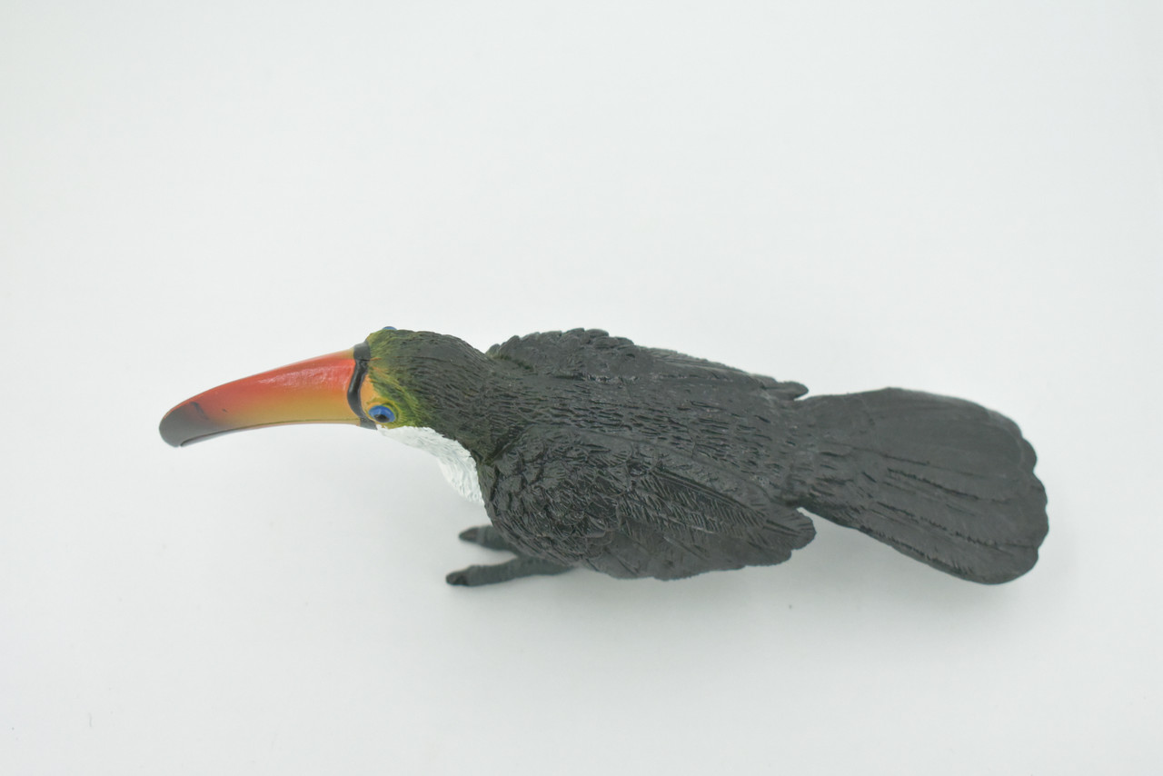 Bird, Toucan,  Museum Quality, Hand Painted, Rubber, family Ramphastidae, Realistic Toy Figure, Model, Replica, Kids, Educational, Gift,     6 1/2"     CH610 BB166