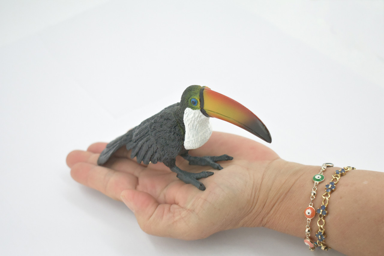 Bird, Toucan,  Museum Quality, Hand Painted, Rubber, family Ramphastidae, Realistic Toy Figure, Model, Replica, Kids, Educational, Gift,     6 1/2"     CH610 BB166