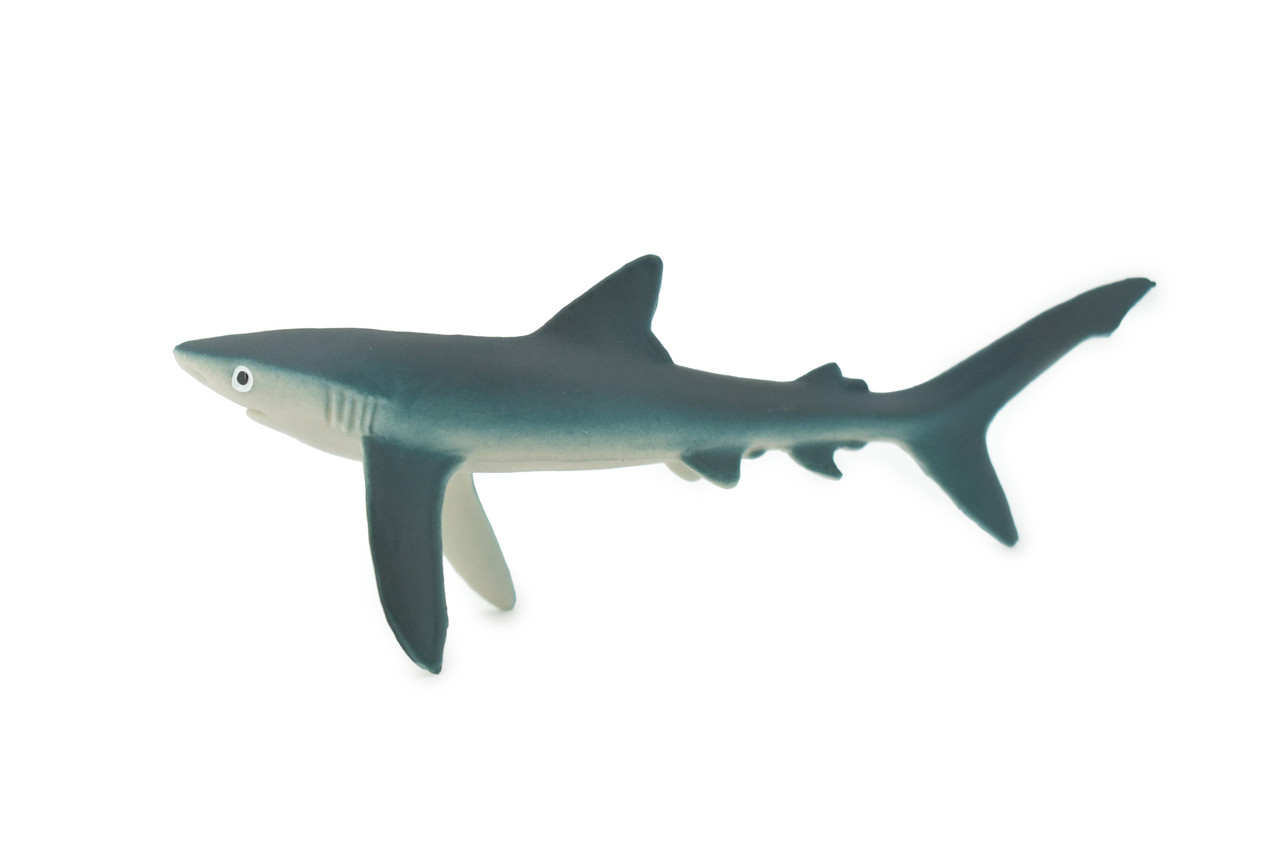 Shark, Blue Shark, Museum Quality, Hand Painted, Rubber Requiem Shark, Realistic, Toy, Figure, Model, Replica, Kids, Educational, Gift,      5"     CH613 BB166
