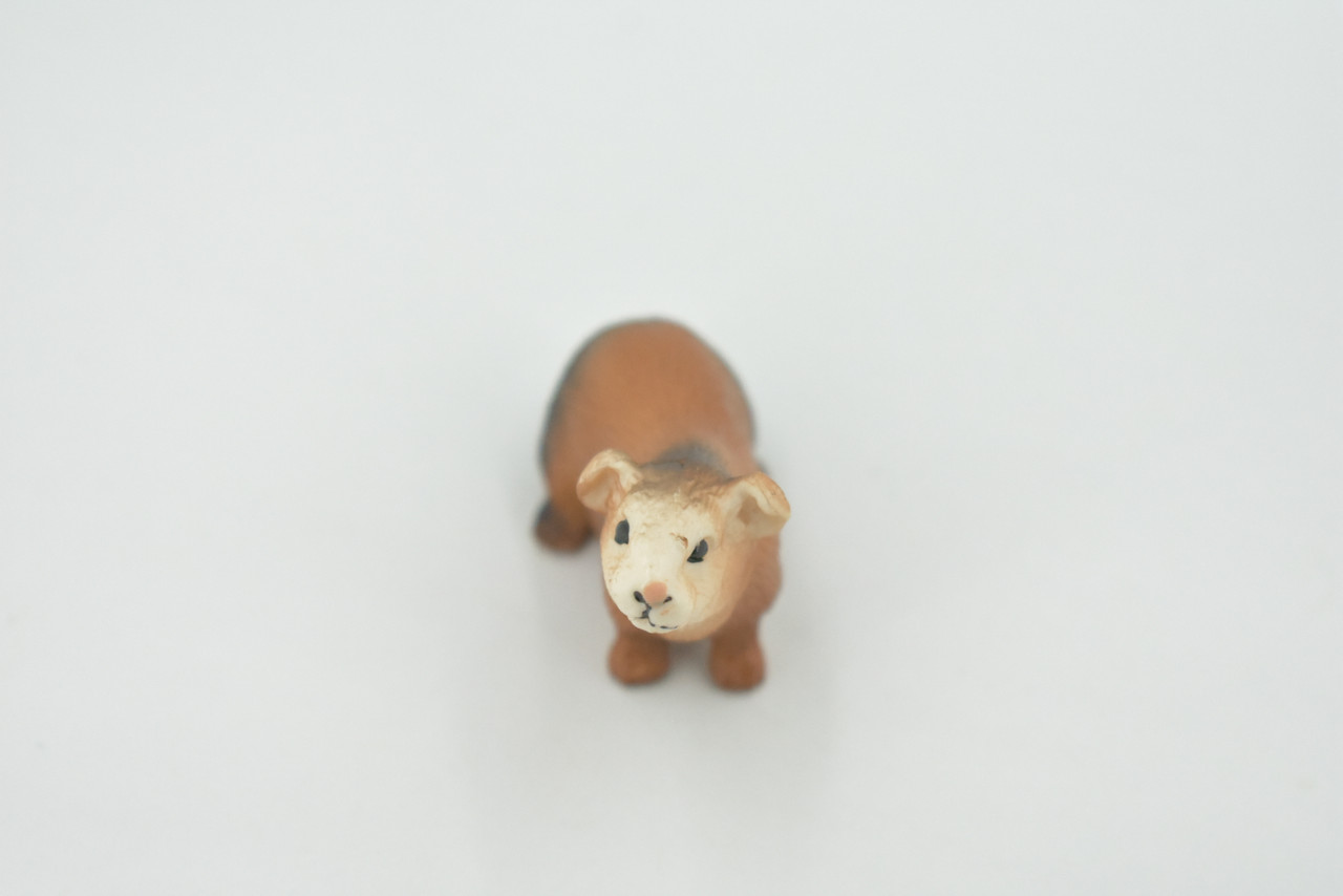 Guinea Pig, Domesticated Rodent, High Quality, Rubber Animal, Hand Painted, Realistic, Toy, Figure, Model, Replica, Kids, Educational, Gift,       2 "     CH616 BB167