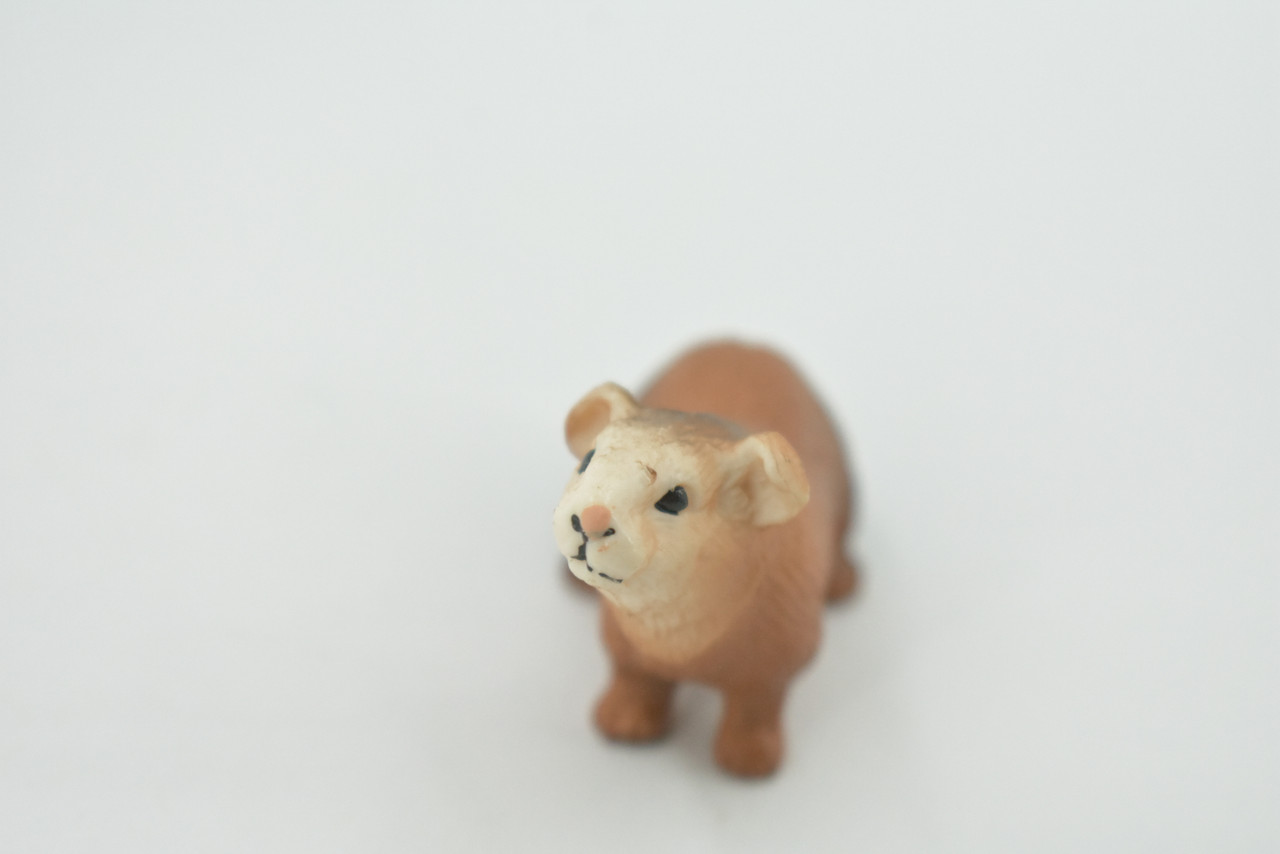 Guinea Pig, Domesticated Rodent, High Quality, Rubber Animal, Hand Painted, Realistic, Toy, Figure, Model, Replica, Kids, Educational, Gift,       2 "     CH616 BB167