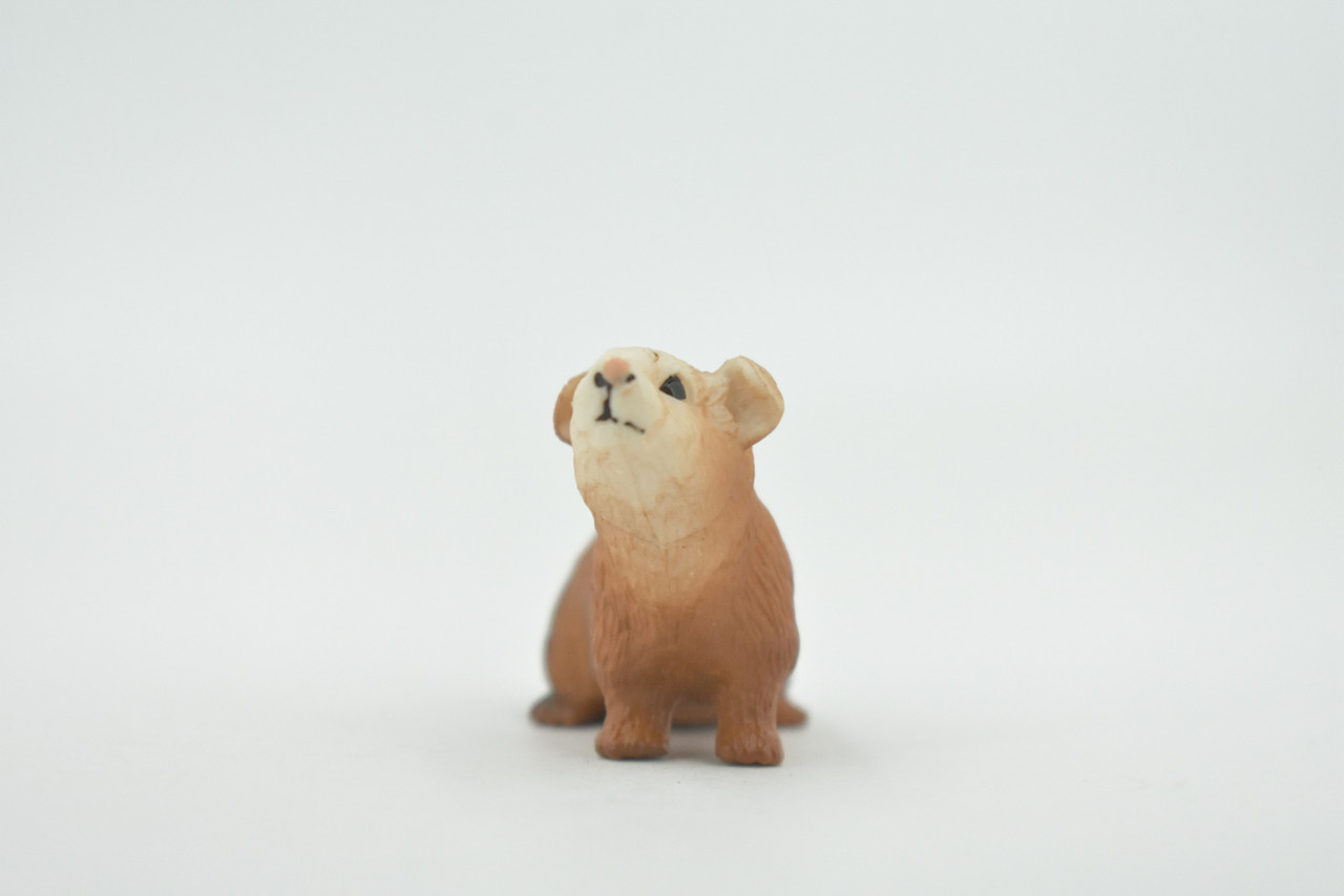 Guinea Pig, Domesticated Rodent, High Quality, Rubber Animal, Hand Painted, Realistic, Toy, Figure, Model, Replica, Kids, Educational, Gift,       2 "     CH616 BB167