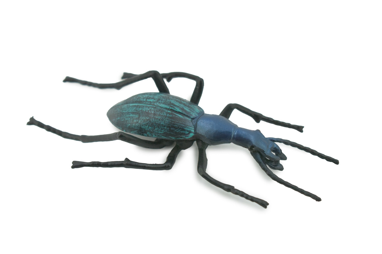 Beetle, Bombardier, Museum Quality, Hand Painted, Rubber Insect, Realistic, Toy, Figure, Model, Kids, Educational, Gift,    4 1/2"     CH618 BB167