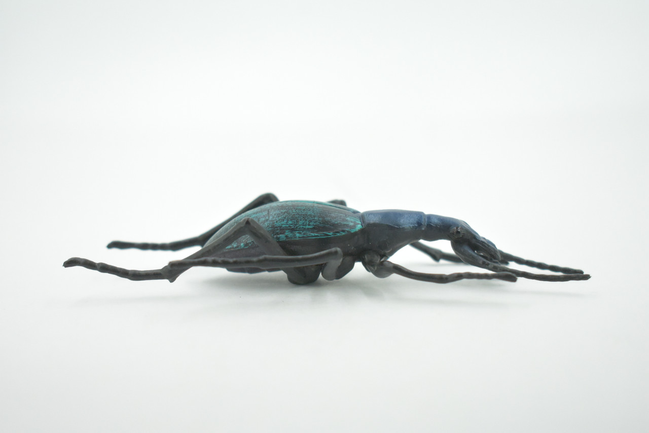 Beetle, Bombardier, Museum Quality, Hand Painted, Rubber Insect, Realistic, Toy, Figure, Model, Kids, Educational, Gift,    4 1/2"     CH618 BB167