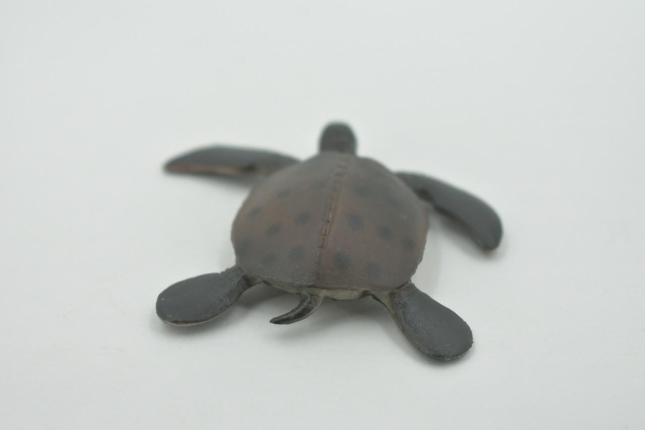 Turtle, Brown Spotted Turtle, High Quality, Hand Painted, Rubber Reptile, Realistic Toy Figure, Model, Replica, Kids, Educational, Gift,   2"    CH620 BB167