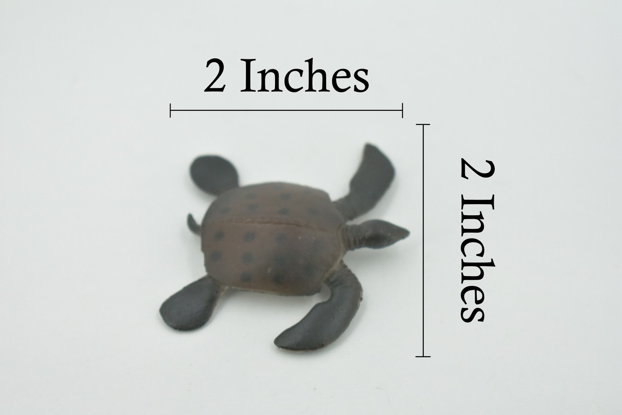 Turtle, Brown Spotted Turtle, High Quality, Hand Painted, Rubber Reptile, Realistic Toy Figure, Model, Replica, Kids, Educational, Gift,   2"    CH620 BB167