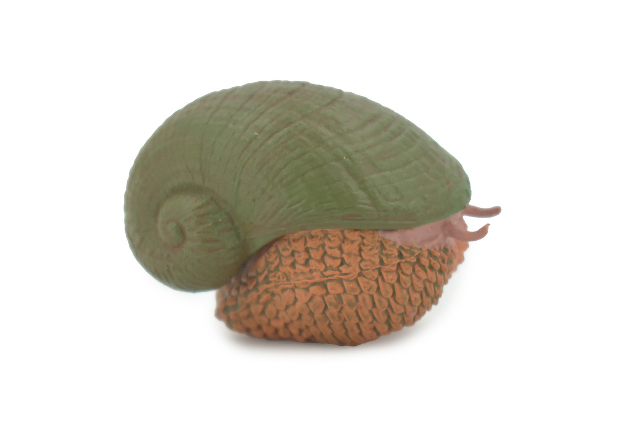 Snail, Scaly-foot Gastropod, Sea pangolin, Museum Quality, Hand Painted, Rubber mollusk, Educational, Realistic, Toy, Kids, Educational, Gift,     2"    CH623 BB167