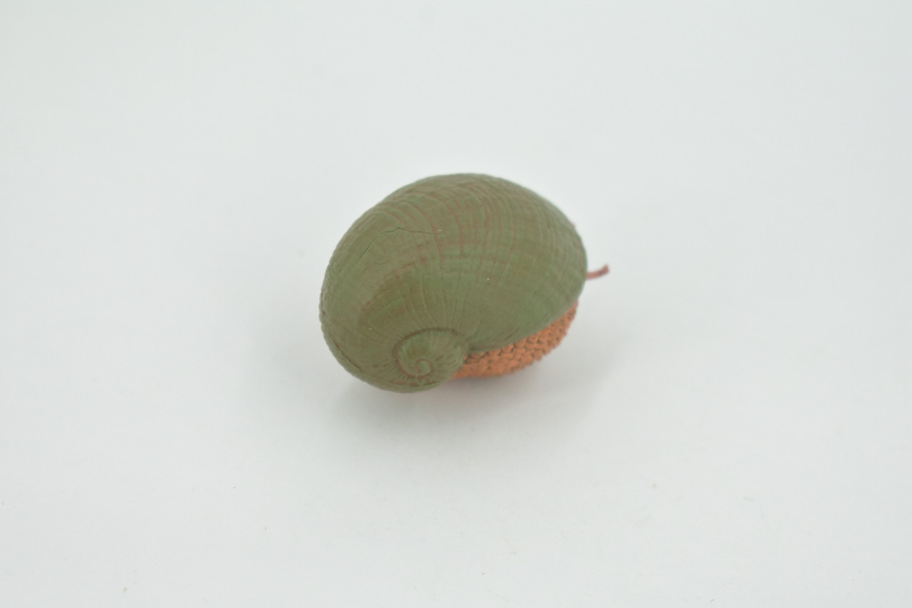 Snail, Scaly-foot Gastropod, Sea pangolin, Museum Quality, Hand Painted, Rubber mollusk, Educational, Realistic, Toy, Kids, Educational, Gift,     2"    CH623 BB167