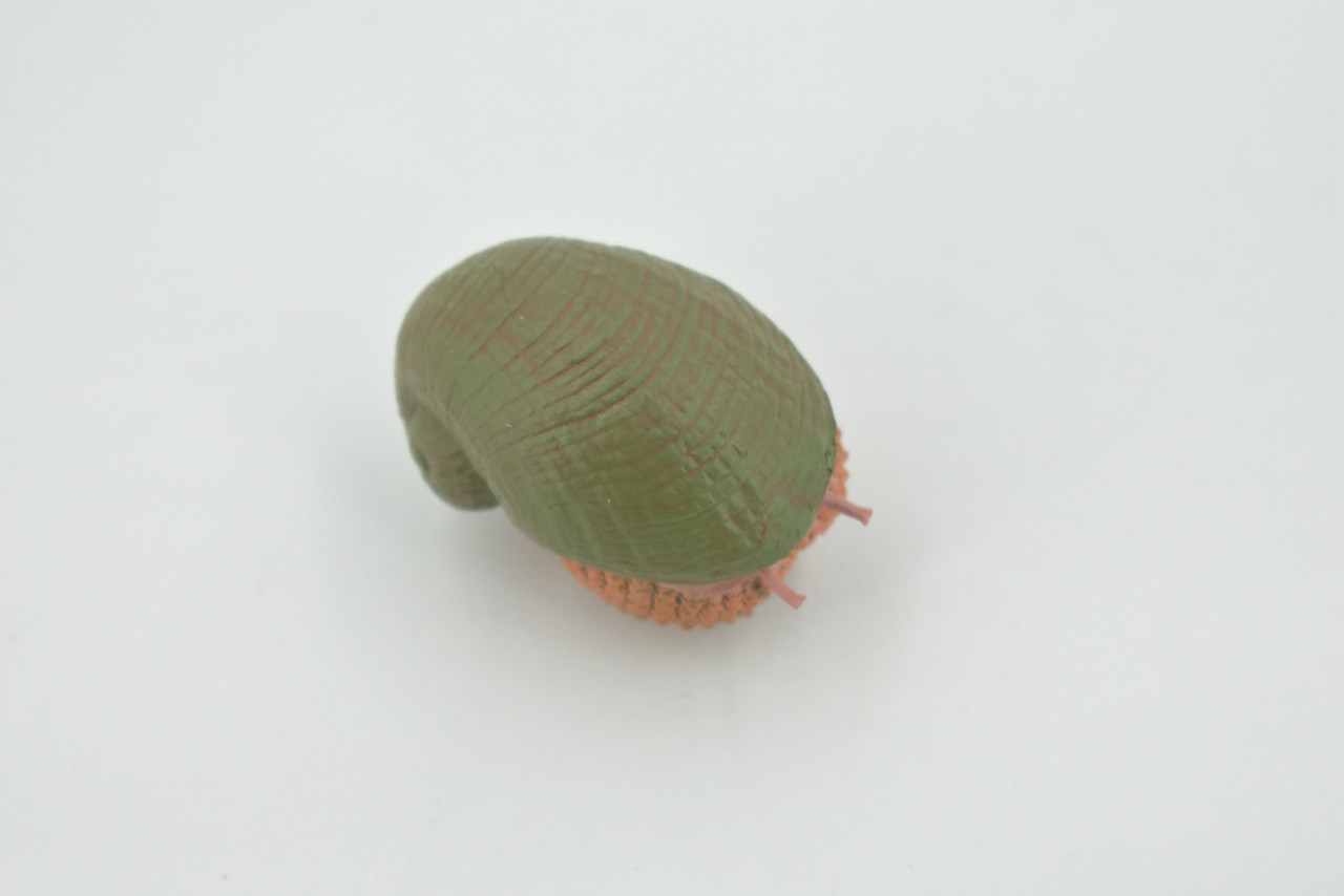 Snail, Scaly-foot Gastropod, Sea pangolin, Museum Quality, Hand Painted, Rubber mollusk, Educational, Realistic, Toy, Kids, Educational, Gift,     2"    CH623 BB167