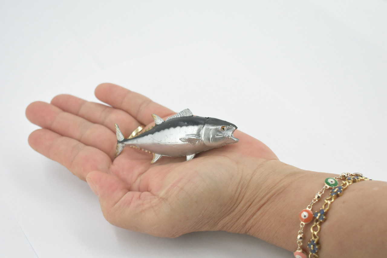 Fish, Bluefin Tuna, Atlantic,  Museum Quality, Hand Painted, Rubber fish, Educational, Realistic, Toy, Kids, Figure, Model, Educational, Gift,     3"      CH627 BB167